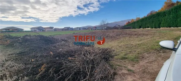 Teren Alba Iulia - poza 2