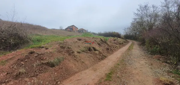Teren Alba Iulia - poza 3
