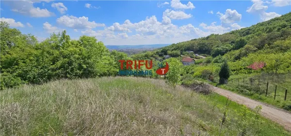 Teren Alba Iulia - poza 2
