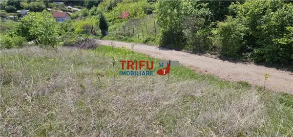 Teren Alba Iulia - poza 4
