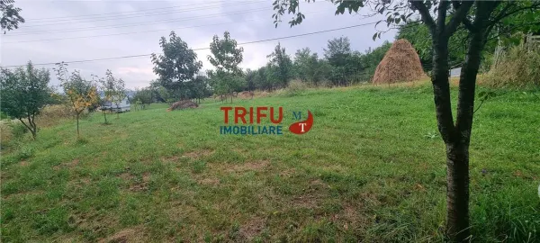 Teren Alba Iulia - poza 2
