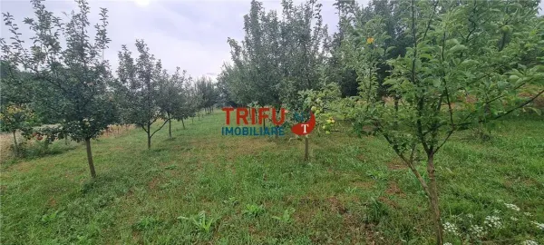 Teren Alba Iulia - poza 3