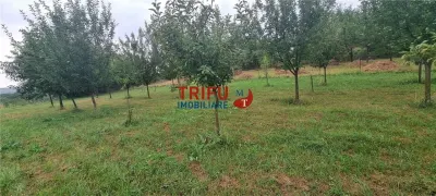 Teren de vanzare, 1785 mp in Paclisa cu utilitati - foto 4
