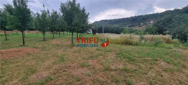 Teren Alba Iulia - poza 5
