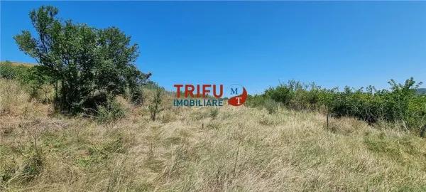 Casă 1 camera Șard - poza 11