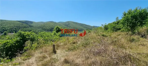 Casă 1 camera Șard - poza 13