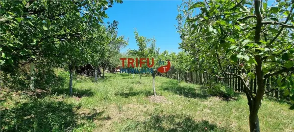 Casă 1 camera Șard - poza 14