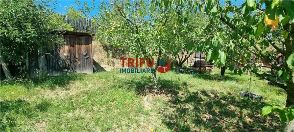 Casă 1 camera Șard - poza 15
