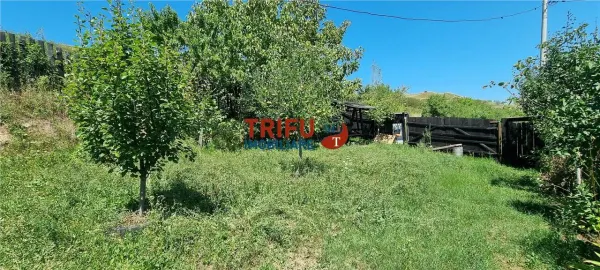 Casă 1 camera Șard - poza 16