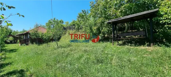 Casă 1 camera Șard - poza 17