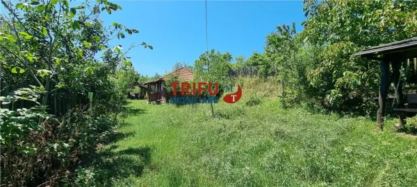 Casă 1 camera Șard - poza 8