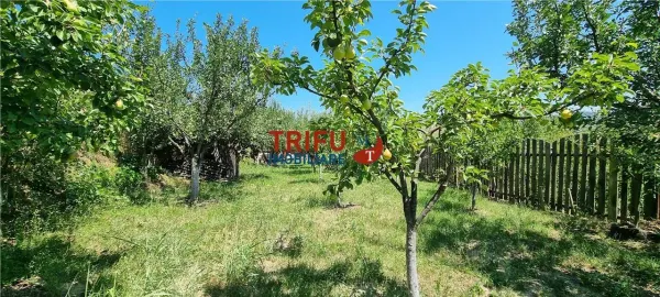 Casă 1 camera Șard - poza 9