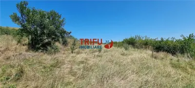Cabana de vanzare zona Sard cu teren intravilan de 1950 mp - foto 10