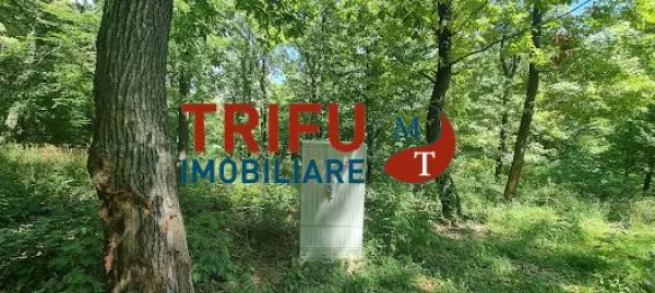 Teren Alba Iulia - poza 1