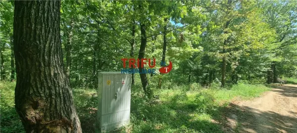 Teren Alba Iulia - poza 2