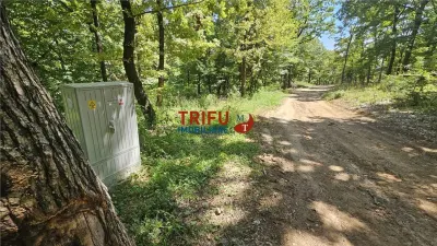 Teren intravilan 3177 mp de vanzare Alba-Micesti spre padure cu PUZ aprobat - foto 3