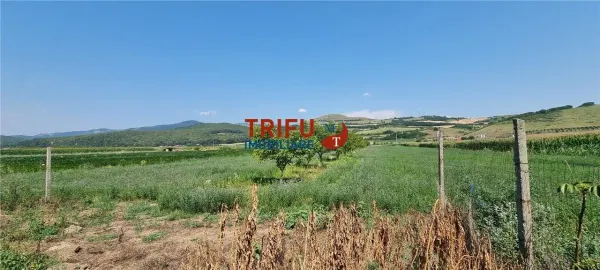 Teren Șard - poza 1