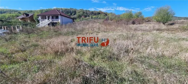 Teren Alba Iulia - poza 3