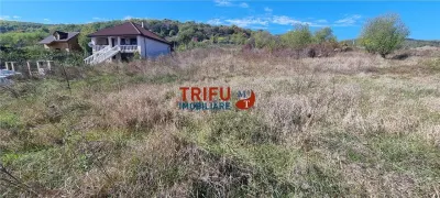Teren intravilan 1400 mp de vanzare Alba-Micesti - foto 3