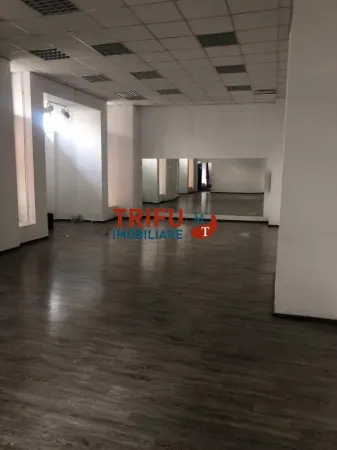 Spațiu comercial Alba Iulia - poza 8
