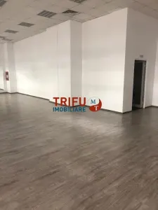 Spatiu comercial de inchiriat 350 mp Zona Bulevardul Transilvaniei - foto 9