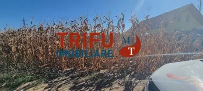 Teren intravilan 2464 mp de vanzare pe soseaua de centura - foto 2