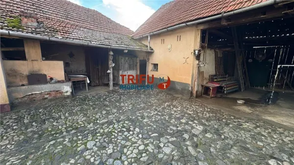 Casă 4 camere Cricău - poza 3