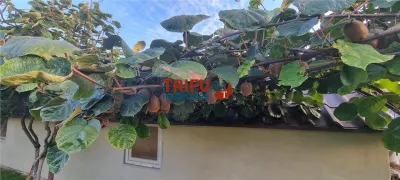 Casă 6 camere Alba Iulia - poza 29