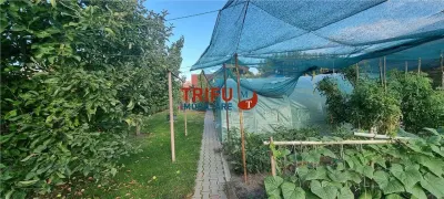 Casă 6 camere Alba Iulia - poza 31