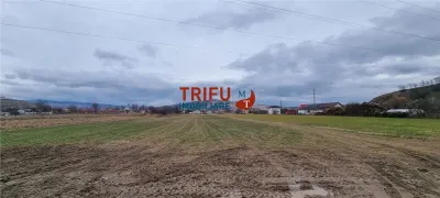 Teren extravilan 3200 mp de vanzare Sard - foto 2