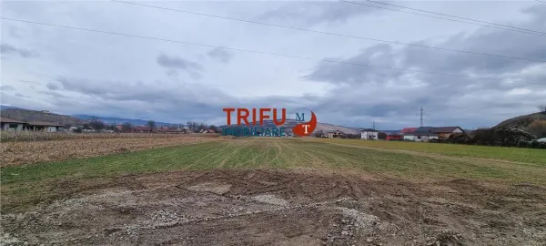 Teren Șard - poza 3