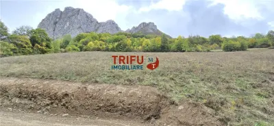 Teren Intravilan de Vanzare in Zona Turistica Ramet - foto 1