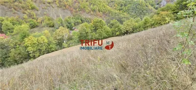 Teren Intravilan de Vanzare in Zona Turistica Ramet - foto 3