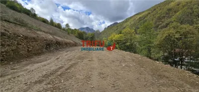 Teren Intravilan de Vanzare in Zona Turistica Ramet - foto 8