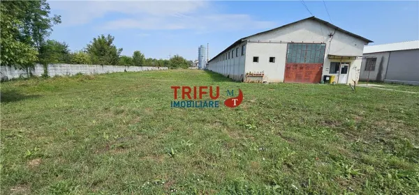 Spațiu industrial Alba Iulia - poza 2