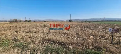 Teren intravilan de vanzare 2900 mp pe Soseaua de Centura - Alba Iulia