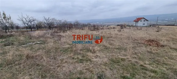 Teren Alba Iulia - poza 2
