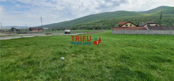 Teren Ampoița - poza 5