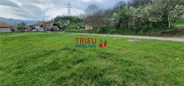 Teren Ampoița - poza 6
