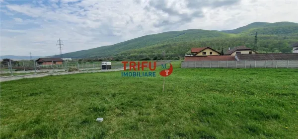 Teren Ampoița - poza 7