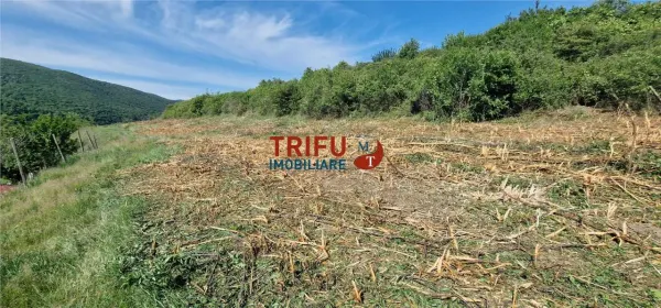 Teren Șard - poza 3