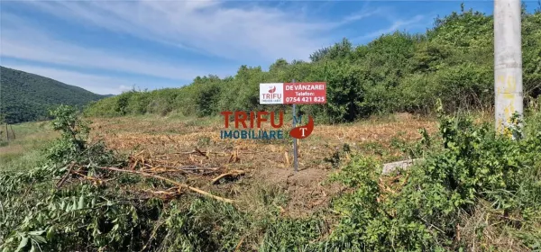 Teren Șard - poza 4