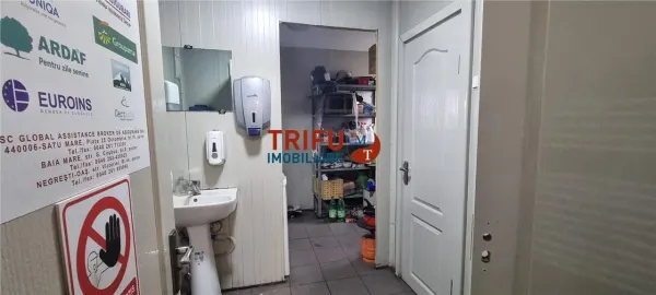Spațiu industrial Alba Iulia - poza 10