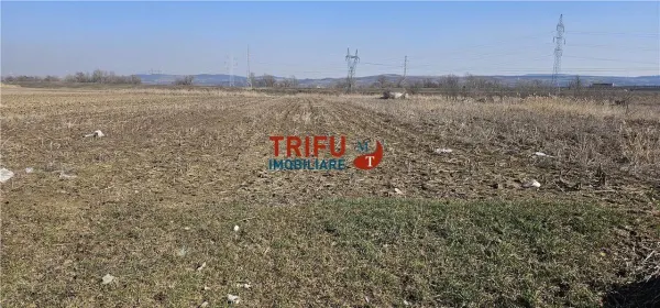 Teren Alba Iulia - poza 2