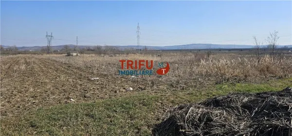 Teren Alba Iulia - poza 3