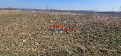 Teren de Vanzare Zona Soseaua De Centura ! - foto 5