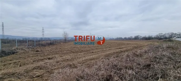 Teren Alba Iulia - poza 4