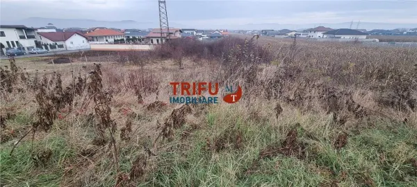 Teren Alba Iulia - poza 2