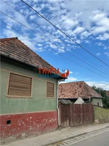 Casă de reabilitat în Cricău cu 2996mp teren - foto 2