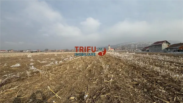 Teren Șard - poza 2